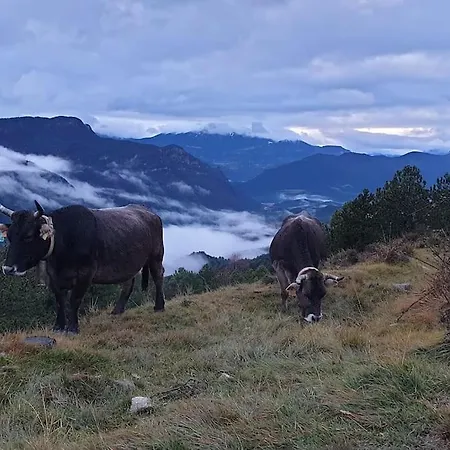 Precioso En El Pirineo Catalán