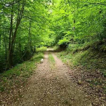 Appartamento Precioso En El Pirineo Catalán